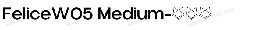 FeliceW05 Medium字体转换